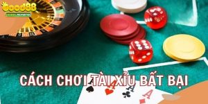 Cách Đánh Tài Xỉu Không Bao Giờ Thua Cho Mọi Tân Thủ